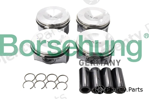 Borsehung B13574 — Piston Ring Kit