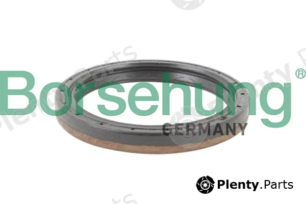 Borsehung B12198 — Shaft Seal, differential
