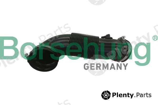 Borsehung B12334 — Intake Hose, air filter
