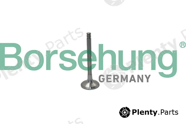 Borsehung B19012 — Exhaust Valve