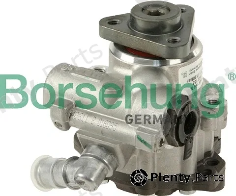 Borsehung B18223 — Hydraulic Pump, steering