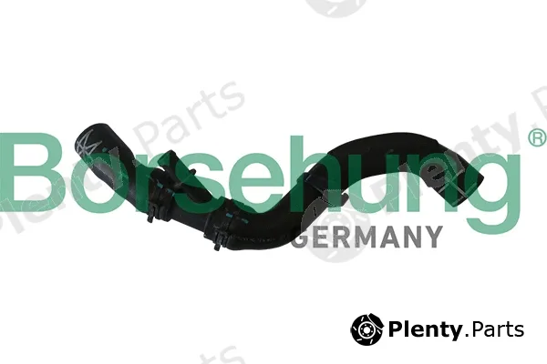 Borsehung B11965 — Radiator Hose