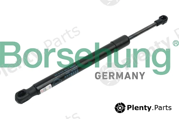 Borsehung B14190 — Gas Spring, boot/cargo area