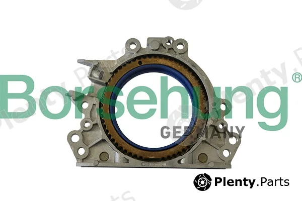 Borsehung B12177 — Shaft Seal, crankshaft