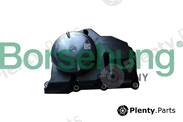 Borsehung B11920 — Oil Separator, crankcase ventilation