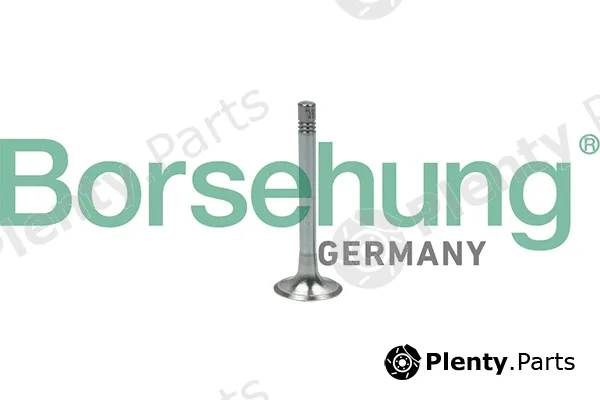 Borsehung B18999 — Exhaust Valve