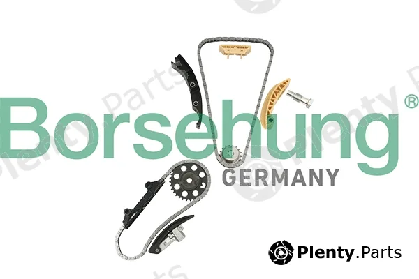 Borsehung B18846 — Timing Chain Kit