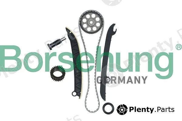 Borsehung B16297 — Timing Chain Kit