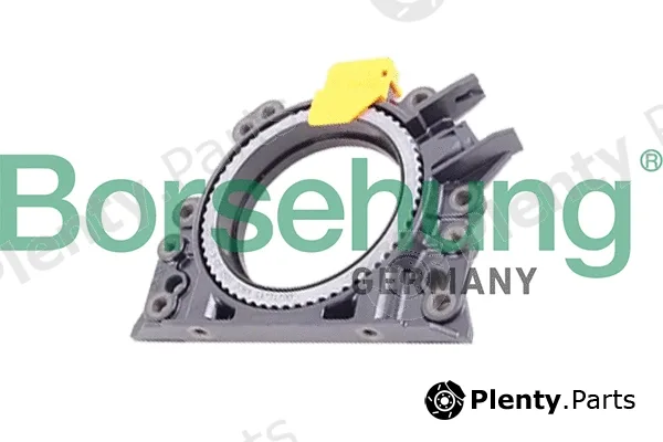 Borsehung B19244 — Shaft Seal, crankshaft
