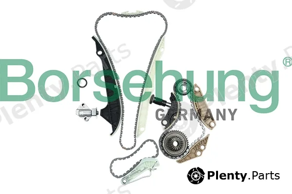 Borsehung B19209 — Timing Chain Kit