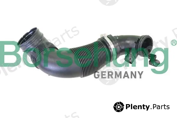 Borsehung B12331 — Intake Hose, air filter