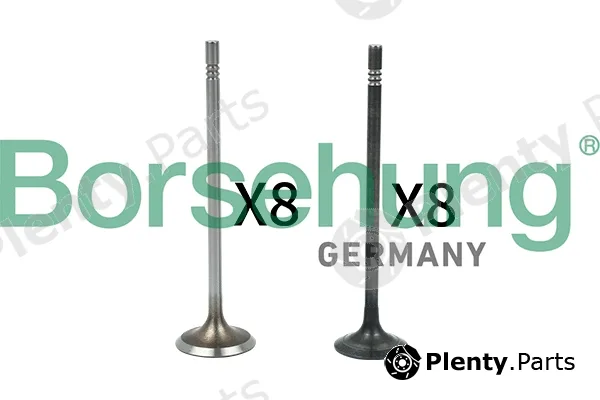 Borsehung B18631 — Valve Kit, intake/exhaust valve