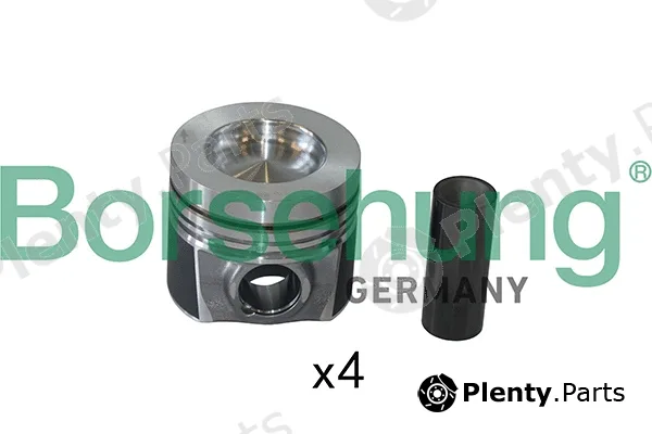 Borsehung B19301 — Piston Ring Kit