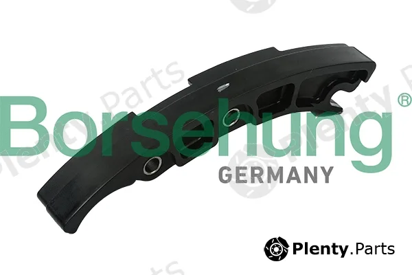 Borsehung B1G022 — Guide, timing chain