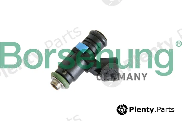 Borsehung B11159 — Injector