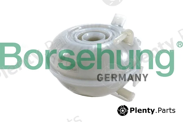 Borsehung B19060 — Expansion Tank, coolant
