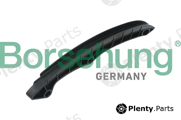 Borsehung B1G009 — Guide, timing chain