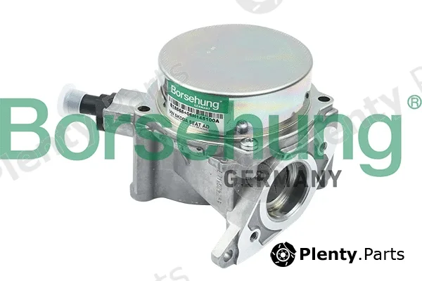 Borsehung B18666 — Vacuum Pump, braking system