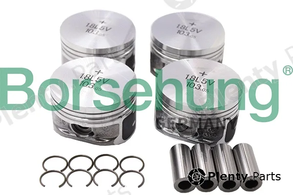 Borsehung B13579 — Piston Set
