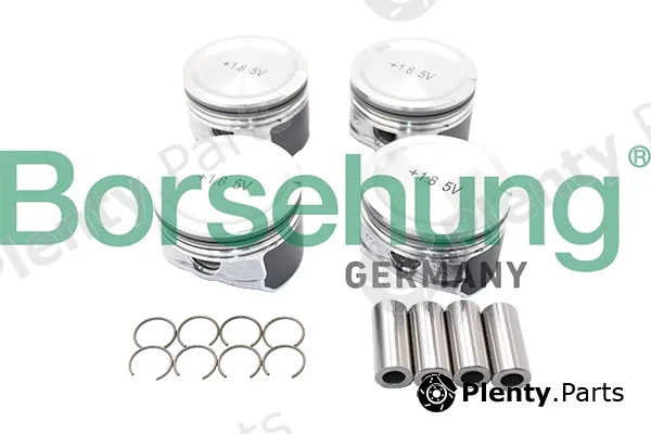 Borsehung B13580 — Piston Set