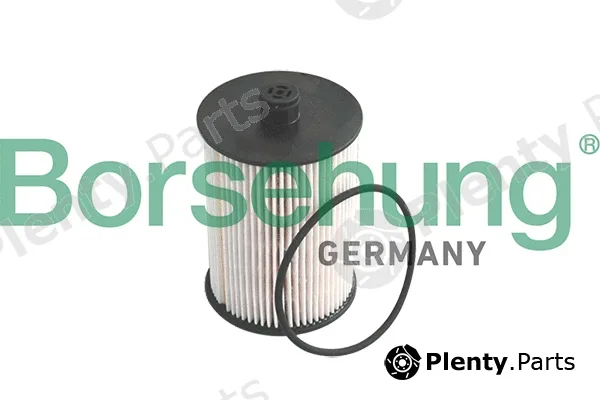 Borsehung B12199 — Fuel Filter