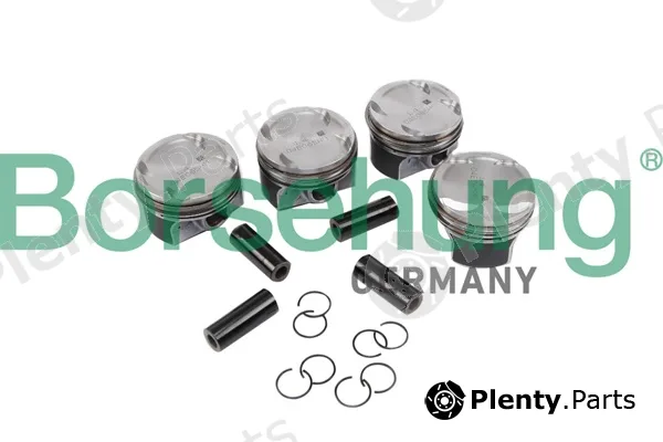 Borsehung B11134 — Piston