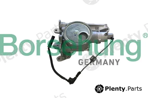 Borsehung B11900 — Oil Pump