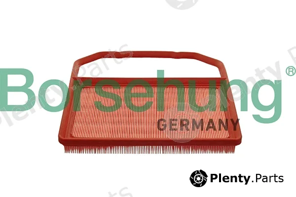 Borsehung B10538 — Air Filter