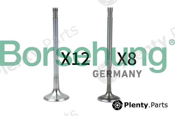 Borsehung B18636 — Valve Kit, intake/exhaust valve