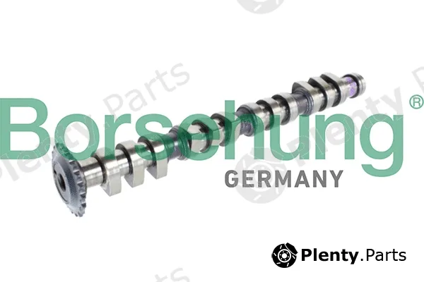 Borsehung B11316 — Camshaft