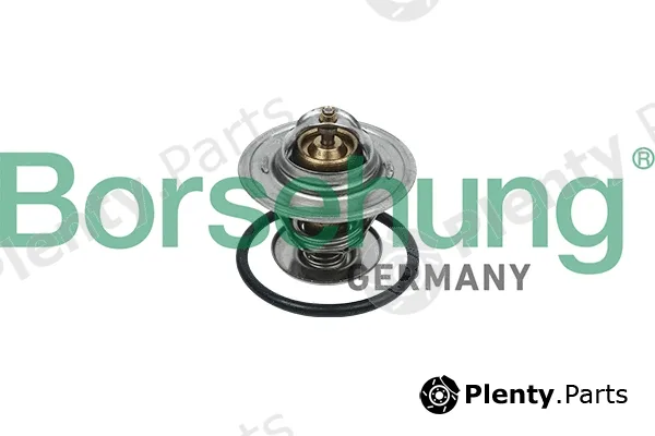 Borsehung B18246 — Thermostat, coolant