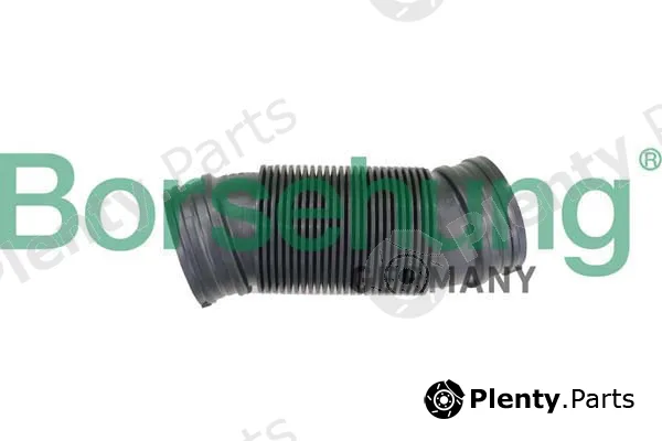 Borsehung B12326 — Intake Hose, air filter
