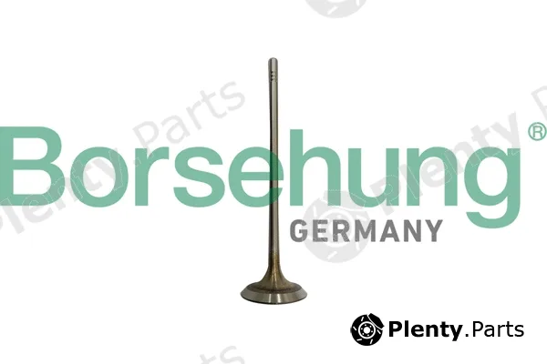 Borsehung B10332 — Intake Valve