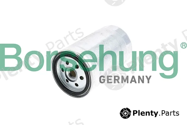Borsehung B10478 — Fuel Filter
