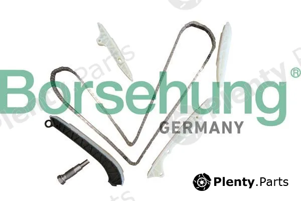 Borsehung B10238 — Timing Chain Kit
