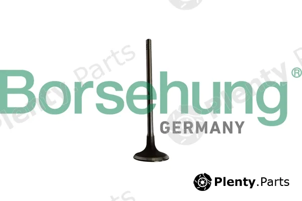 Borsehung B10334 — Intake Valve
