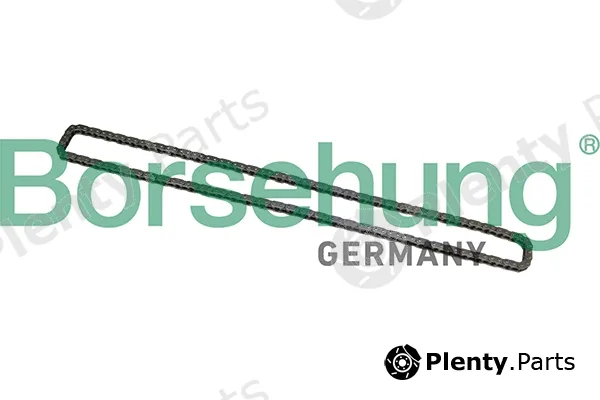 Borsehung B1C026 — Timing Chain