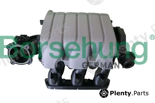 Borsehung B10663 — Intake Manifold, air supply