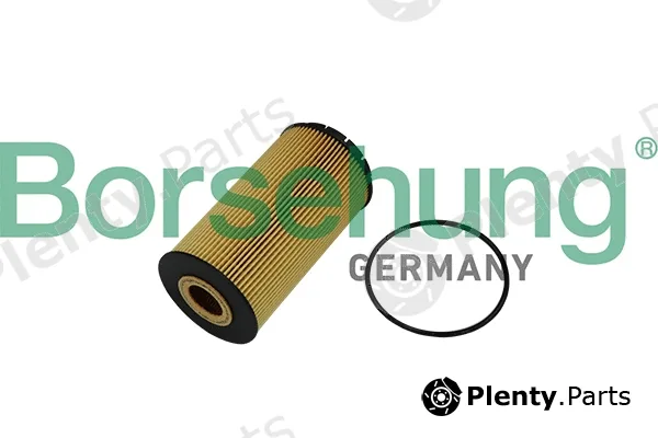 Borsehung B10518 — Oil Filter