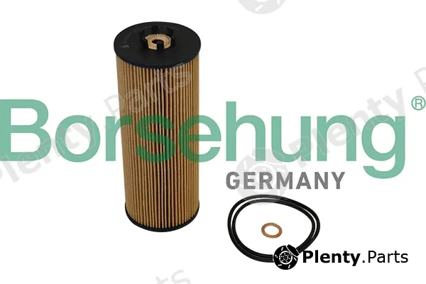 Borsehung B10544 — Oil Filter