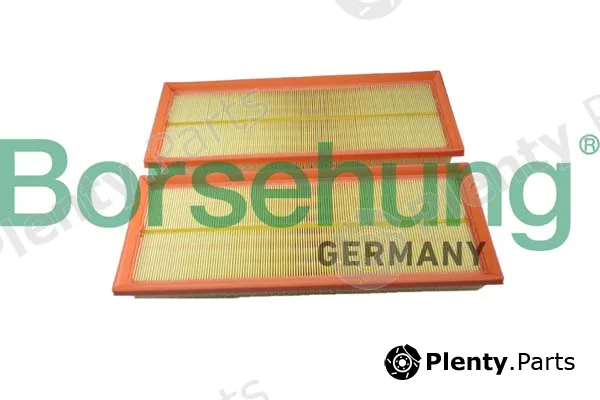 Borsehung B12398 — Air Filter