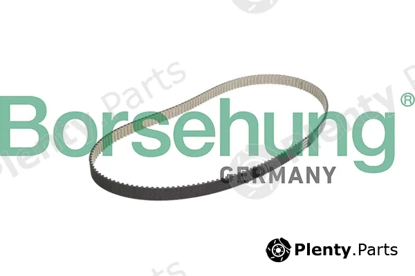Borsehung B10228 — Timing Belt