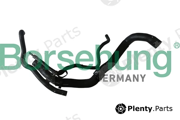 Borsehung B11963 — Radiator Hose