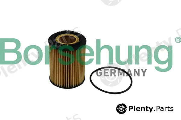 Borsehung B10516 — Oil Filter