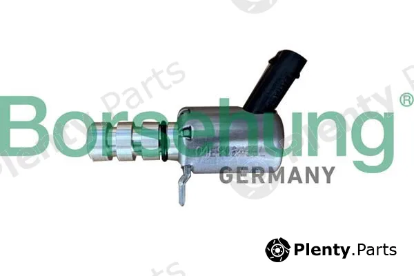 Borsehung B12313 — Oil Pressure Valve