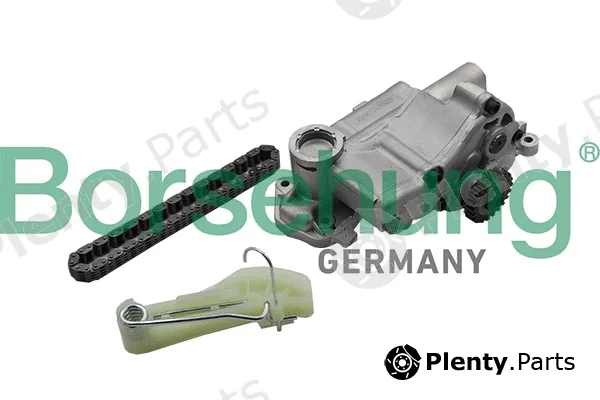 Borsehung B19176 — Repair Kit, oil pump
