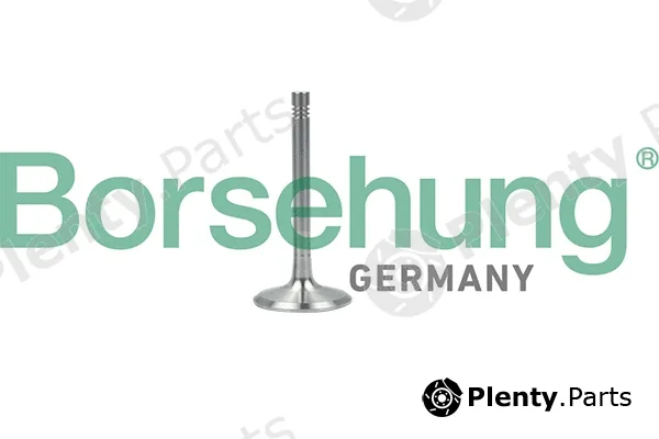 Borsehung B19001 — Exhaust Valve