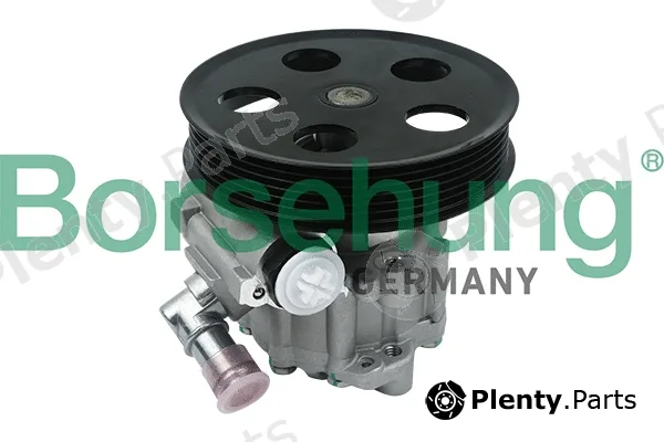 Borsehung B13214 — Hydraulic Pump, steering