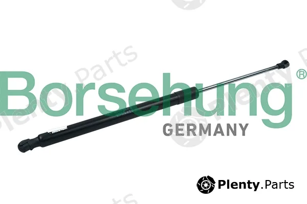 Borsehung B14193 — Gas Spring, boot/cargo area