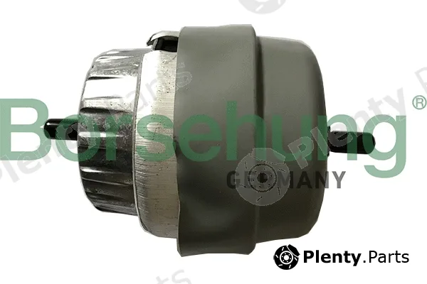 Borsehung B19136 — Mounting, engine